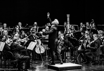 Picture of: Orchestra Members